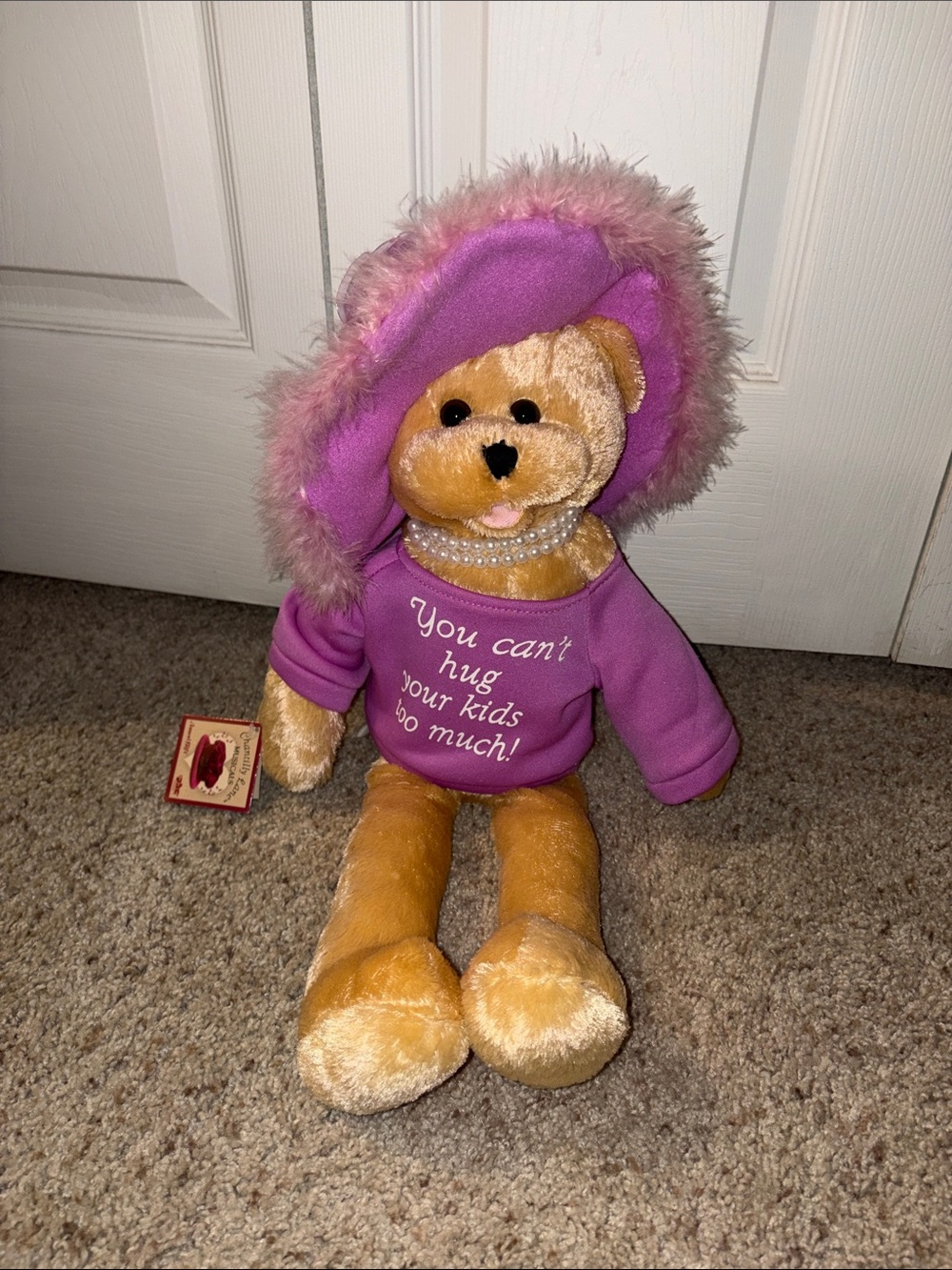 Singing Plush Teddy Bear in Pink Hooded Sweater